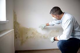 Best Emergency Mold Remediation  in Tappan, NY